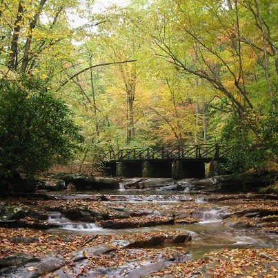 Photo of stream and bridge in the woods